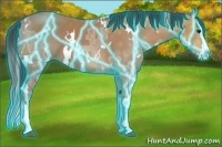 Horse Color:Thunderstruck White Spotted Bay Ice Splash 