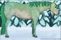 Horse Color:Watercolor Brown Ice 