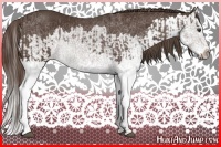 Horse Color:Liver Chestnut Splash  and Liver Chestnut Splash 