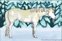 Horse Color:Palomino Ice Splash 