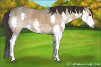 Horse Color:Brown Ice Splash 