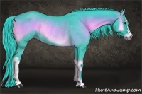 Horse Color:Watercolor Blue Onyx Rabicano 
