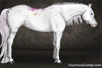 Horse Color:Watercolor Silver Bay Onyx Sabino Splash 