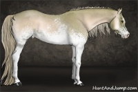 Horse Color:Watercolor White Spotted Chocolate Palomino Roan Onyx