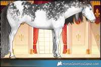 Horse Color:White Spotted Brown Splash Snowflake Varnish 