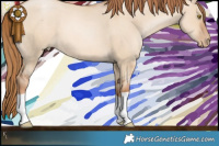 Horse Color:Red Dun Pearl 