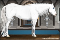 Horse Color:Silver Black Splash Appaloosa 