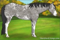 Horse Color:Smoky Grullo Ice Sabino 
