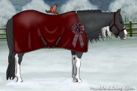 Horse Color:Black Splash Tobiano 