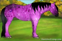 Horse Color:ERROR: UNKNOWN ANOMALY