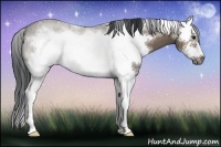 Horse Color:White Spotted Brown Roan Dun Splash Frame 