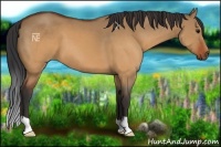 Horse Color:Brown Dun 