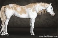 Horse Color:Chestnut Ice Splash 