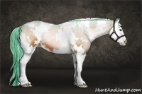Horse Color:Watercolor White Spotted Bay Onyx Splash