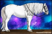 Horse Color:Chocolate Palomino Sabino 