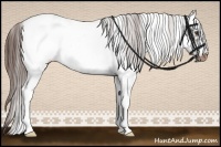 Horse Color:Liver Chestnut Sabino Frame Blanket