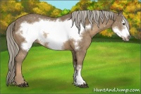Horse Color:Chocolate Palomino Frame 