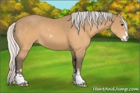 Horse Color:Silver Buckskin Sabino 