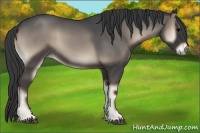 Horse Color:Blue Onyx Roan Rabicano 