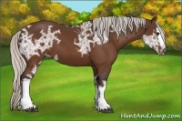 Horse Color:White Spotted Silver Brown Ice 