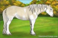 Horse Color:Chocolate Palomino Roan Splash
