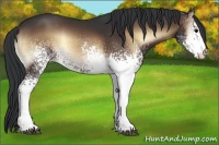 Horse Color:White Spotted Brown Onyx Rabicano