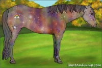 Horse Color:Nacre Bay Rabicano 