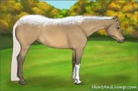 Horse Color:Silver Buckskin 