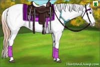 Horse Color:Red Dun Splash Appaloosa Rabicano