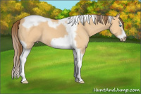 Horse Color:Gray Perlino Dun Splash Tobiano Frame 