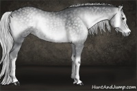 Horse Color:White Spotted Silver Blue Onyx Chinchilla 