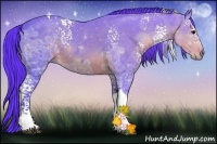 Horse Color:Watercolor White Spotted Brown Ice Tobiano Rabicano 