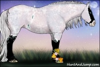 Horse Color:Watercolor White Spotted Chocolate Palomino Ice Pearl Sabino Splash 