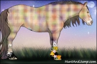 Horse Color:Nacre Plaid Amber Champagne Sabino Rabicano