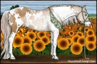 Horse Color:White Spotted Palomino Sabino 