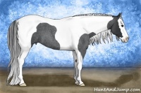 Horse Color:Blue Roan Splash Tobiano
