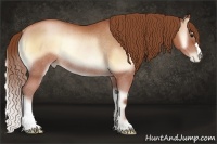 Horse Color:Brown Pearl Onyx Rabicano 