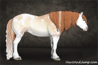 Horse Color:White Spotted Sable Champagne Pearl Onyx Splash 