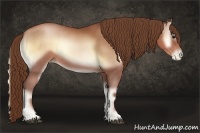 Horse Color:Brown Pearl Onyx Sabino 