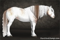 Horse Color:White Spotted Liver Red Onyx Pearl Splash