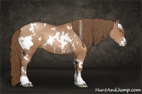 Horse Color:White Spotted Bay Pearl Sabino Rabicano
