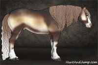 Horse Color:Liver Red Onyx Sabino Splash Rabicano