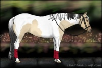 Horse Color:Buckskin Roan Dun Tobiano 