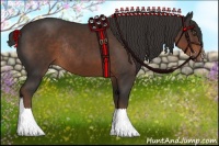 Horse Color:Liver Chestnut Sabino Rabicano