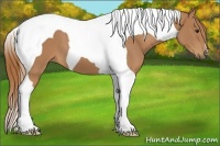 Horse Color:Chestnut Tobiano 