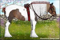 Horse Color:Liver Chestnut Tobiano Rabicano 