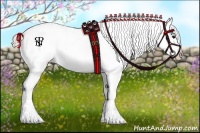Horse Color:Silver Black Sabino Appaloosa 