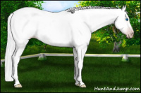 Horse Color:Gray Silver Amber Cream Champagne Roan Dun Splash Tobiano Frame Appaloosa Rabicano 