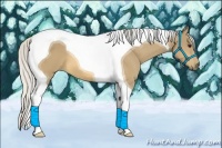 Horse Color:Silver Buckskin Tobiano