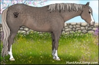 Horse Color:Silver Black Sabino 
